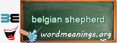 WordMeaning blackboard for belgian shepherd